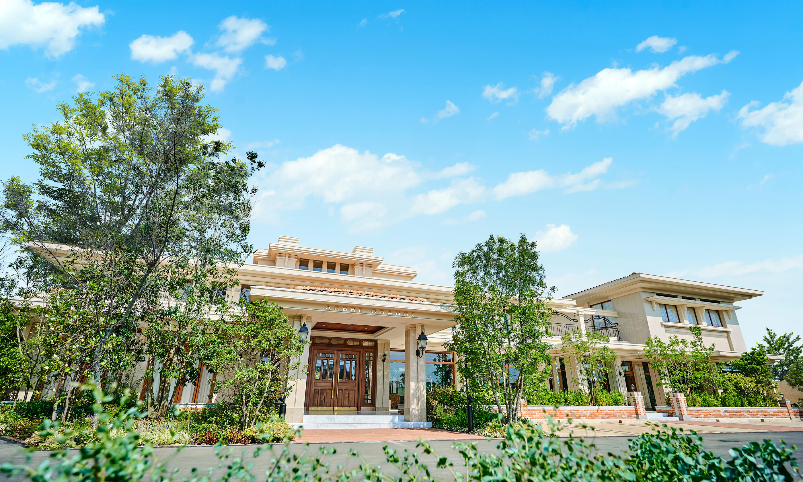 キャンペーン・特典について